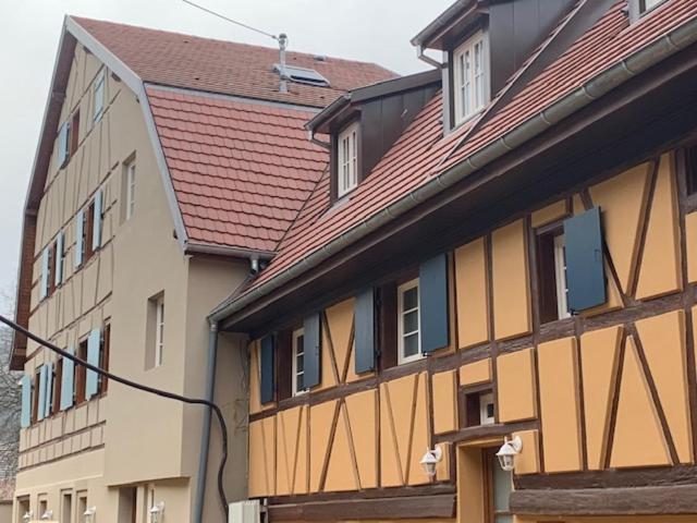 فيلا Coeur D'Alsace Colmar Vignobles Ouest Avec Terrasses فينتزنهايم المظهر الخارجي الصورة