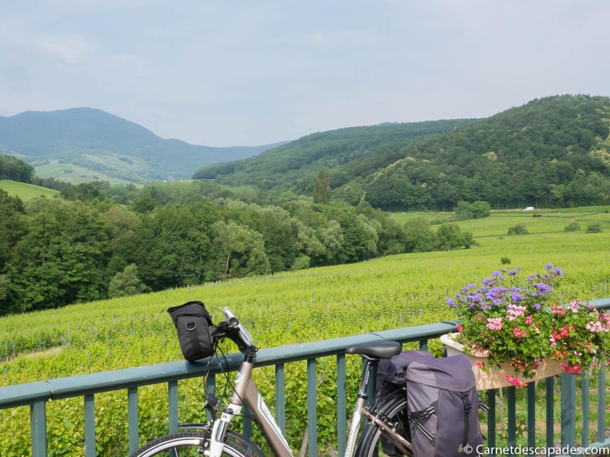فيلا Coeur D'Alsace Colmar Vignobles Ouest Avec Terrasses فينتزنهايم المظهر الخارجي الصورة