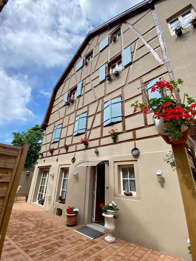 فيلا Coeur D'Alsace Colmar Vignobles Ouest Avec Terrasses فينتزنهايم المظهر الخارجي الصورة