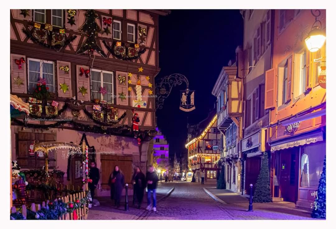 فيلا Coeur D'Alsace Colmar Vignobles Ouest Avec Terrasses فينتزنهايم المظهر الخارجي الصورة