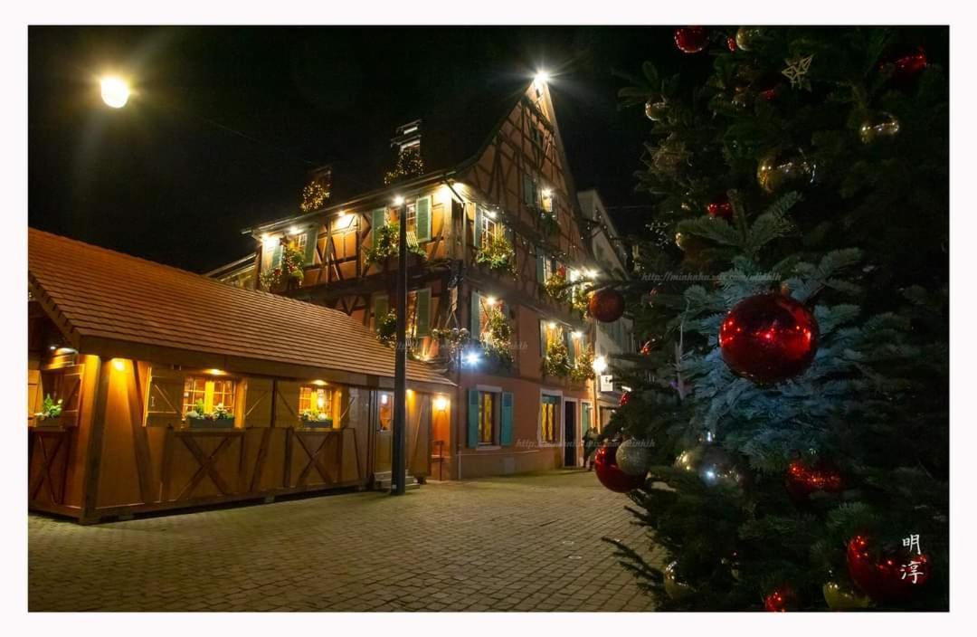 فيلا Coeur D'Alsace Colmar Vignobles Ouest Avec Terrasses فينتزنهايم المظهر الخارجي الصورة