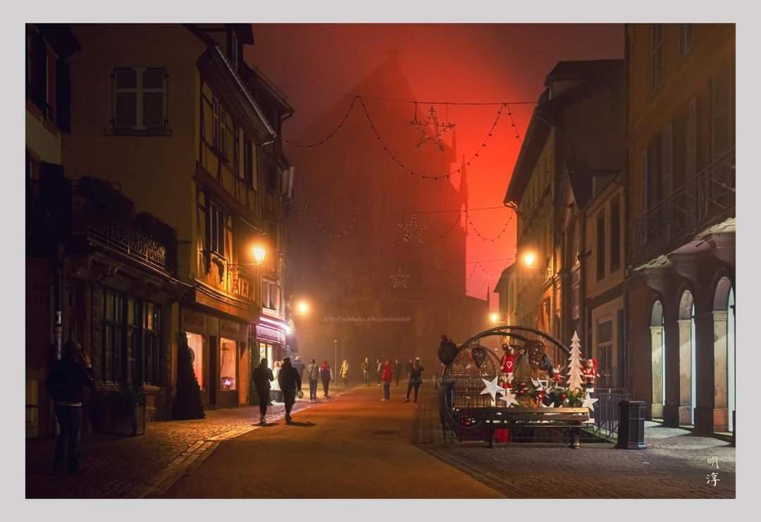 فيلا Coeur D'Alsace Colmar Vignobles Ouest Avec Terrasses فينتزنهايم المظهر الخارجي الصورة